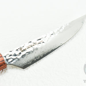 Sakai Takayuki VG-10 33 Layers Hammered Damascus Steak Knife 120 mm